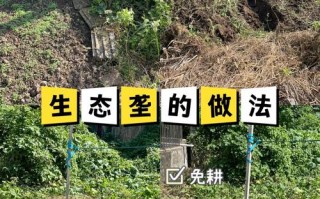 荒觉醒后技能，荒要练吗