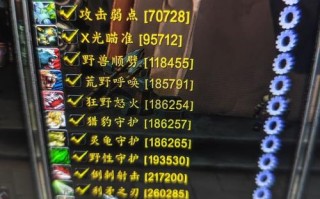 大脚的技能监视插件，魔兽世界大脚监视buff？