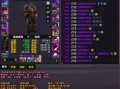 6.2防骑技能，243防骑装备选取