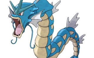 暴鲤龙技能Pokemon，暴鲤龙技能更佳配招