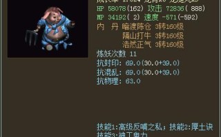 大话2九戒技能_大话2九戒带什么技能比较好