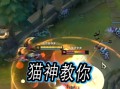 最新大虫子的技能，新版大虫子技能介绍