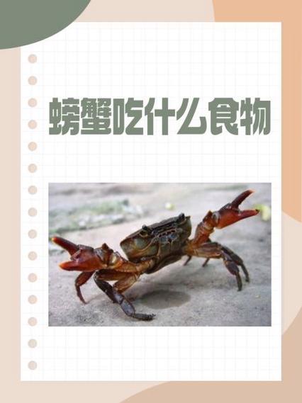 剑三跟宠技能_剑网三最容易获得的跟宠-第5张图片-流派游戏资讯网 剑三跟宠技能_剑网三最容易获得的跟宠-第5张图片-流派游戏资讯网
