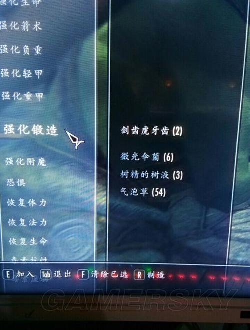 上古卷轴5潜行技能？上古卷轴5潜行技能训练师？-第3张图片-流派游戏资讯网