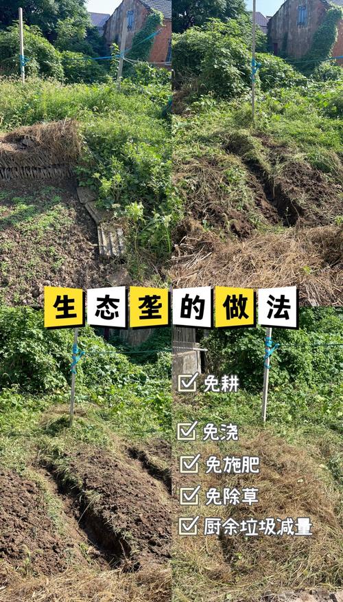 荒觉醒后技能,荒要练吗-第1张图片-流派游戏资讯网 荒觉醒后技能,荒要练吗-第1张图片-流派游戏资讯网