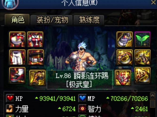 武极堆什么技能，武极伤害比较高技能-第5张图片-流派游戏资讯网